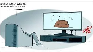 Quelle &eacute;mission culte des ann&eacute;es 2000 mettait en sc&egrave;ne des anonymes film&eacute;s en continu dans une maison ?