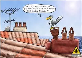 Parmi ces trois animateurs, lequel porte ou a port&eacute; le surnom de ''Monsieur Vari&eacute;t&eacute;s'' ?