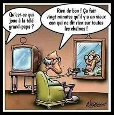 En quelle ann&eacute;e la t&eacute;l&eacute;vision couleur est-elle apparue en France ?