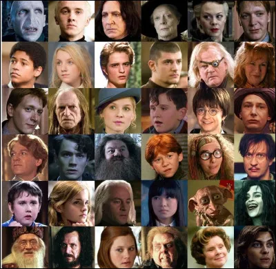 Qui est ton professeur pr&eacute;f&eacute;r&eacute; dans ''Harry Potter'' ?