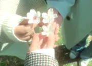 Quiz Des questions simples de culture !