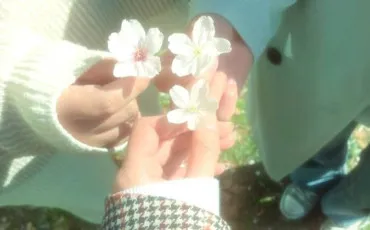 Quiz Culture g�n�rale