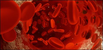 Quel est le groupe sanguin le plus rare ?