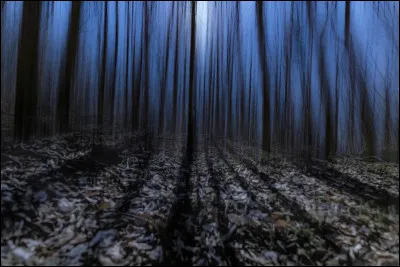 On parle d'un animal n&eacute; apr&egrave;s l'interdiction d'utiliser des farines de viande dans l'alimentation des bovins et autres ruminants !