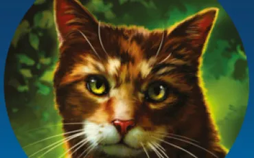 Quiz Litt�rature, po�sie