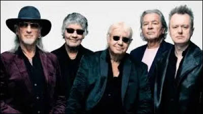 Quel est le genre musical du groupe Deep Purple ?