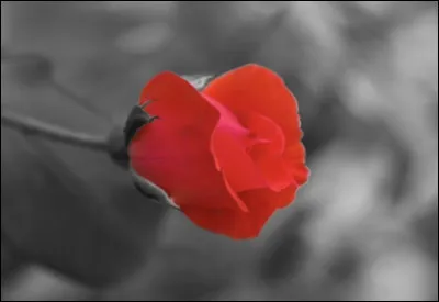 Quelle image choisis-tu ?