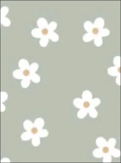 Quel fond d�&eacute;cran pr&eacute;f&egrave;res-tu ?