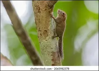 Quelle taille fait-il ?