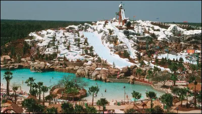 Quel parc aquatique de Walt Disney World est th&eacute;matis&eacute; autour d�une station de ski fondue par la chaleur ?