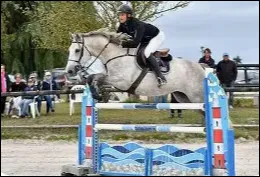 &Agrave; cheval, quelle est ton allure pr&eacute;f&eacute;r&eacute;e ?