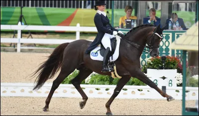 Quelle activit&eacute; aimes-tu faire le weekend ?