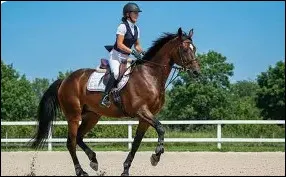 Quelle est ta plus grande qualit&eacute; ?