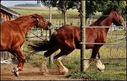 Quel est ton pire d&eacute;faut ?