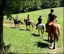 Ton cheval a peur et part au galop d�un coup, que fais-tu ?