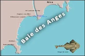 La baie des Anges s'&eacute;tend de la ville de Nice &agrave; la ville...