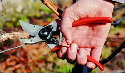Un outil bien pratique au printemps et en automne, c'est :