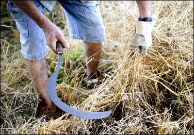 Outil ancien mais toujours efficace, c'est la...
