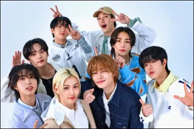 Quel est ton style de petit ami pr&eacute;f&eacute;r&eacute; ?