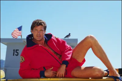Dans Alerte &agrave; Malibu, quel r&ocirc;le est jou&eacute; par David Hasselhoff ?