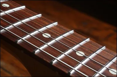 Quel est le nom de ces petites barres m&eacute;talliques fix&eacute;es sur un manche de guitare ?