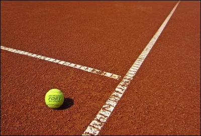 Quel est le nom du jeu qui d&eacute;termine le vainqueur de la manche en cas d'&eacute;galit&eacute; &agrave; 6-6 au tennis ?