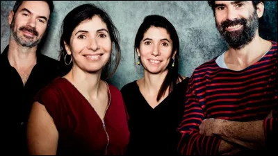 Quel est ce groupe fran&ccedil;ais, auteur et interp&egrave;tre du titre ''La manche'' ?