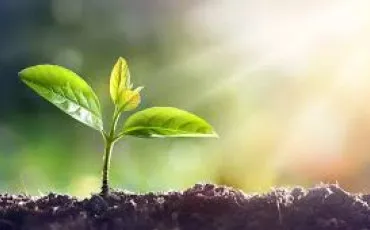 Quiz Culture g�n�rale