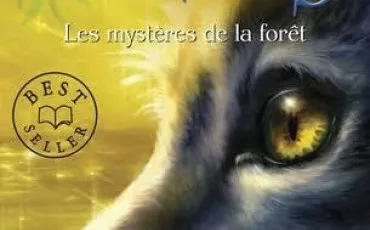 Quiz Littérature, poésie