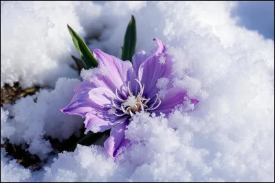 Et pour une femelle, tu aimes :