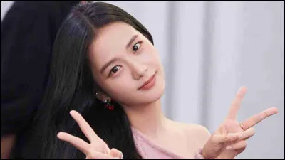 Dans quelle s&eacute;rie a jou&eacute; Jisoo ?