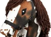 Quiz Quiz sur le Hobby Horse !