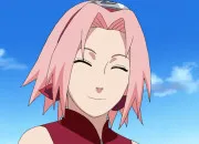 Quiz Personnages en ''S'' des animes