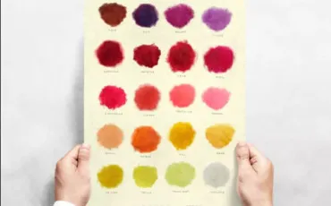 Quiz Test de personnalit�