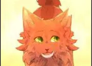 Quiz Connais-tu bien Feuille de Houx dans LGDC ?