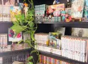 Quiz Les auteurs de mangas