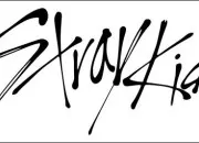 Quiz Connais-tu bien Stray Kids ?