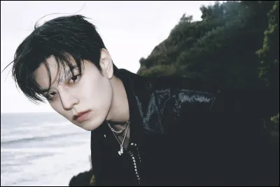 Quel est le SKZOO de Seungmin ?