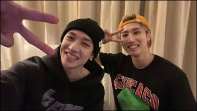 Les SKZOO de Bang Chan et Han s'appellent...