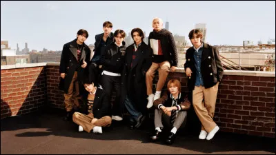 Comment s'appelle le fandom ?