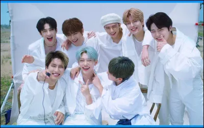 Que sont les "SKZOO" ?