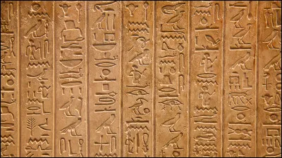 En 1809, Champollion a peur que ... ne d&eacute;chiffre les hi&eacute;roglyphes avant lui.