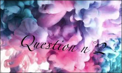 Entre Albert Einstein et L&eacute;onard de Vinci, lequel des deux est le plus intelligent ?