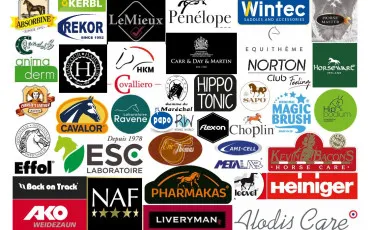 Quiz Test de personnalit�