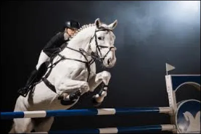 Quel genre de poney ou cheval montes-tu ?