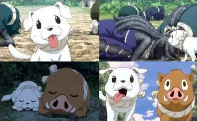 Quel est le nom que donne Suika au sanglier dans le tome 11 ?