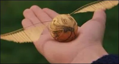 Qui remplace Harry au poste d'attrapeur ?