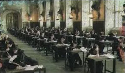 Pendant quel examen Harry re&ccedil;oit-il la vision o&ugrave; Sirius se fait torturer ?
