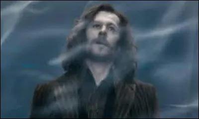 Qui a tu&eacute; Sirius ?