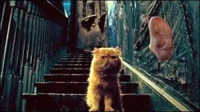 Comment s'appellent les nouvelles inventions de Fred et George, pour &eacute;couter les discutions priv&eacute;es ?